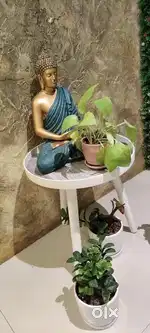 Urgent requirement spa therapist