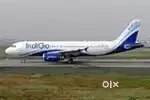 548 vacancy available for indigo Airlines jobs nearest airport
