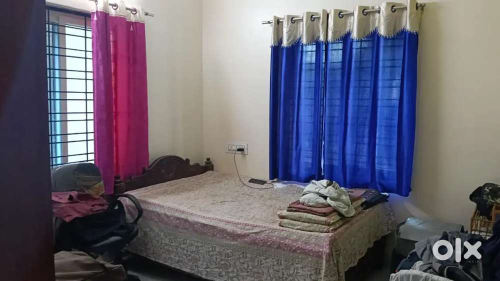 Family and bachelors