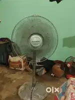 Crompton stand fan