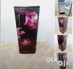 IuyWhirlpool single door 4 star rating flower design modelling