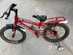 Woodland cycle