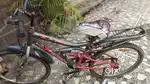Avon cycle for kids under 12 years