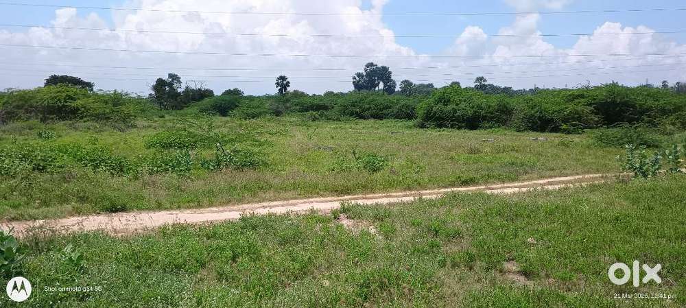 Vacant land for Sale within 10KMs from Thoothukudi City