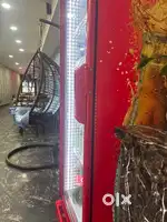 Need a TANDOOR COOK