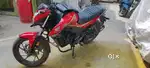 Hornet in mint condition