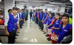 Need 15 fresher and experienced boys and girls