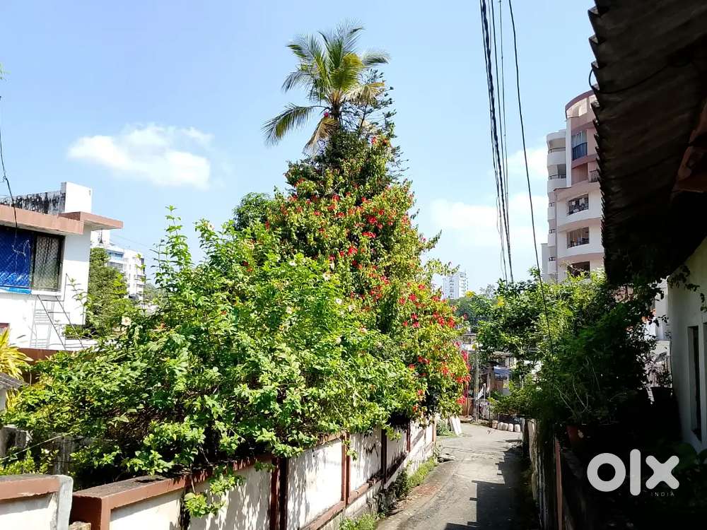 Thycadu Elankam Nagar 4.25 Cent Per Cent 28 Lakhs