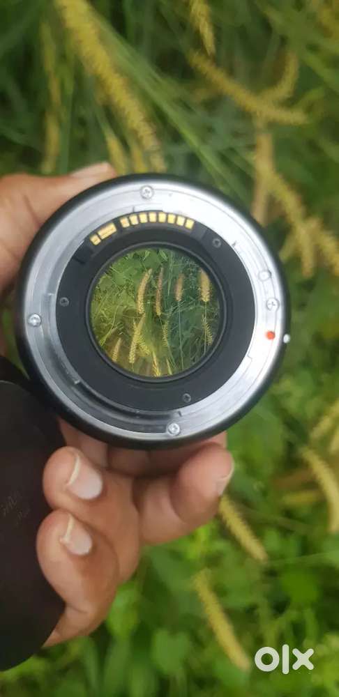 Sigma 35mm DG canon mount