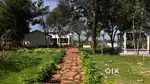 xperience Nature, Enjoy Freedom – Aroma Sandalo Farmlands