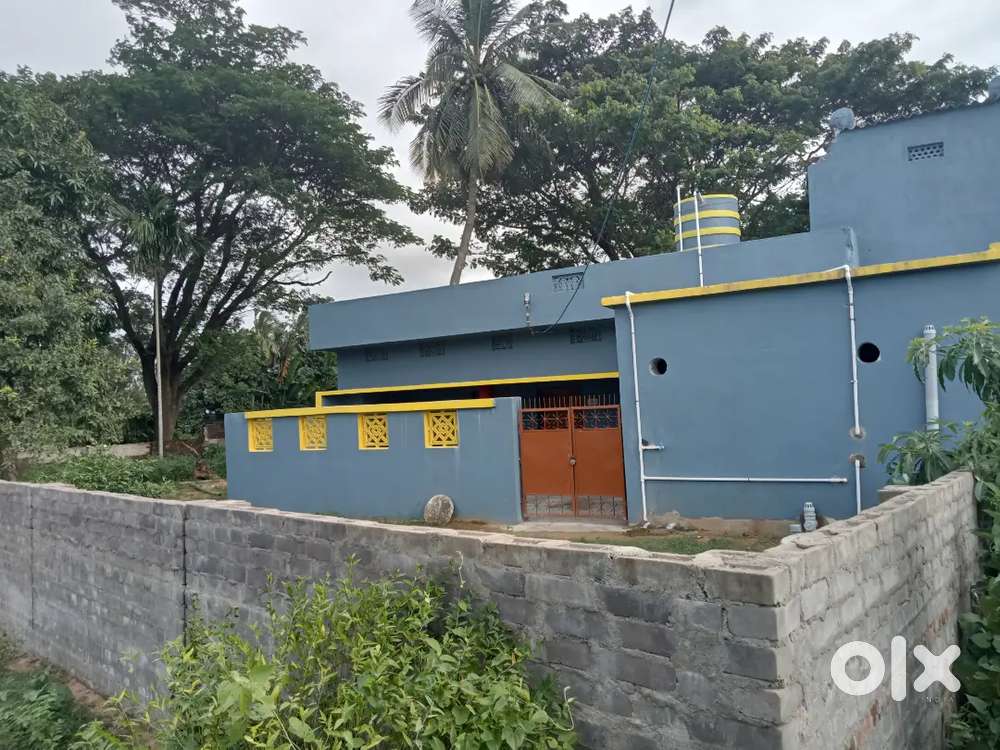 House for sell @Kadampada 42 mouza