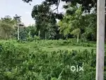 3 kotha 17 locha myadi mati