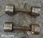 Steel Dumbles-Two