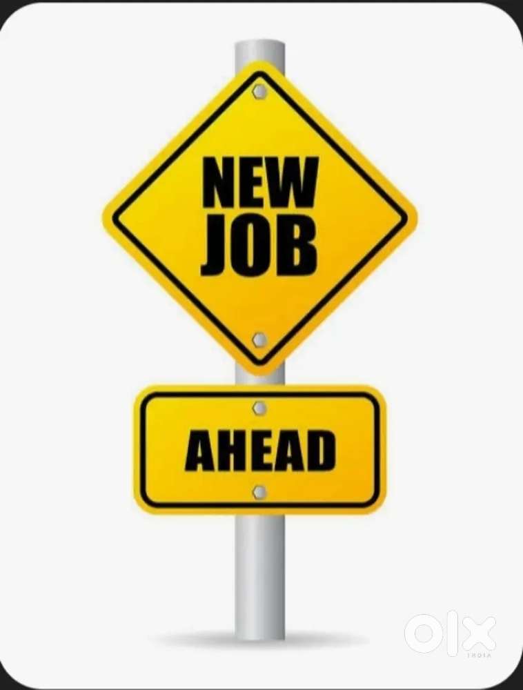 Vacancy for back office executive