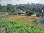 22 cent house plot for sale in muvattupuzha near Grand Central Mall