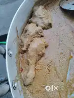Vishal restaurant allrounder cook chahiye biryani cook chahiye