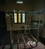 Cage for sale