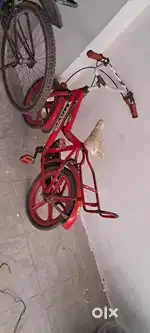 Sel bicycle
