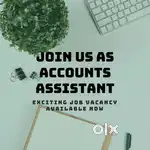 Accounts Assistant