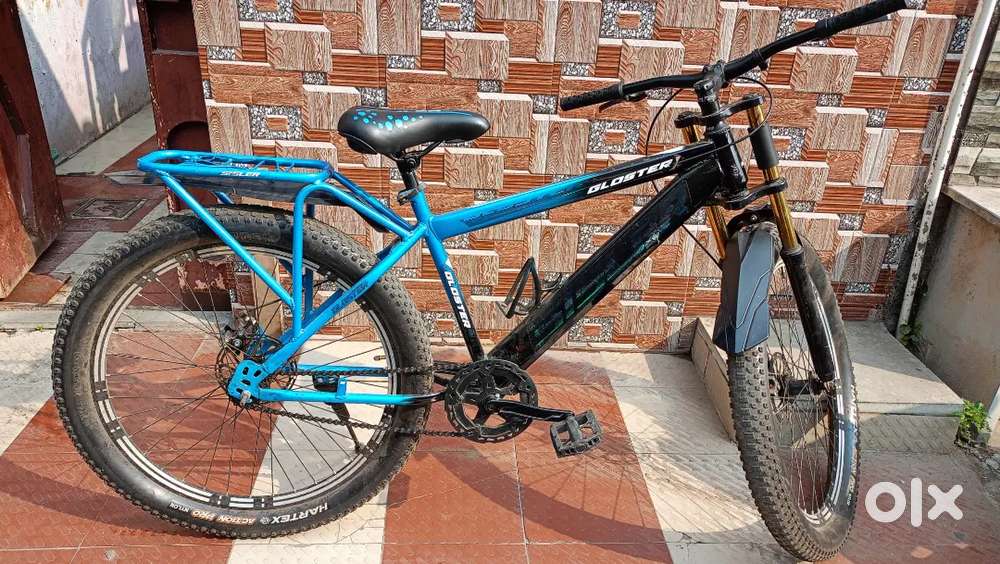 Cycle with disk brake