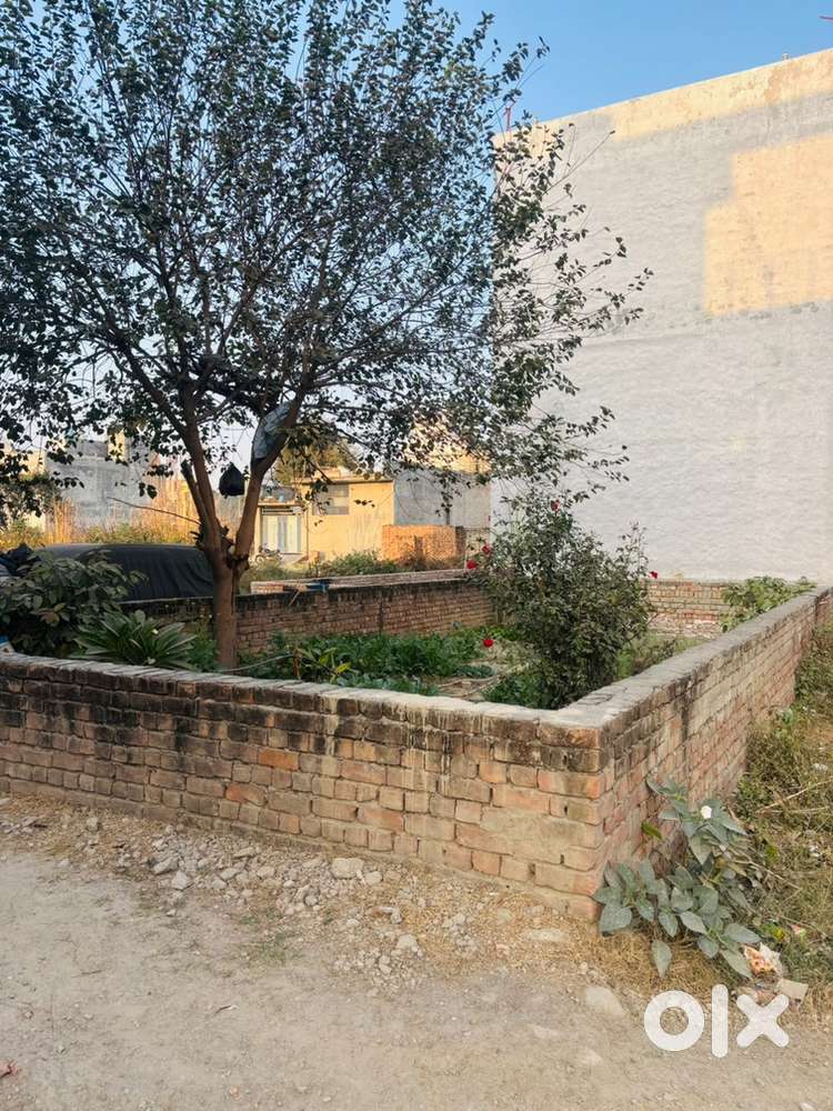 70 lakh only interesting person msg me