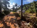 House plot with 1300 sqft foundation for sale@Wayanad