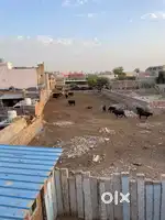 land for rent