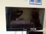Samsung tv
