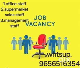 Office staff, supermarket sales staff, Room boy