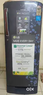 Samsung Freeze
