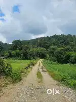 Plots available at Thano hills