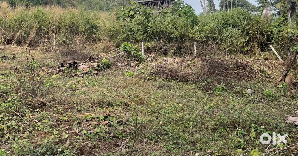 Land for sale in chicalim vasco