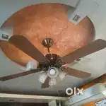 Designer fan