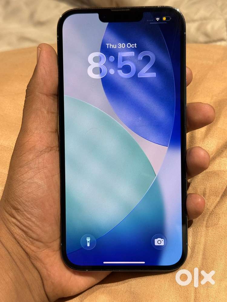 13 pro max  1tb storage