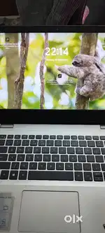 Dell Vostro 3405  Ryzen 5  8GB RAM  256GB SSD  Radeon Graphics
