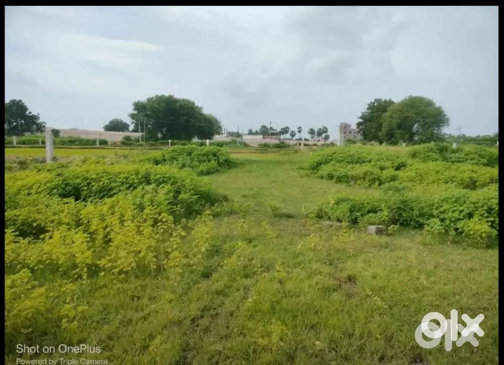 Own Plots and Other Plots,Flats,Houses & Agriculture Lands For Sale