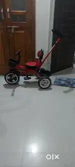 Stalwart cycle