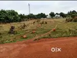PRIME INVESTMENT OPPORTUNITY: 25 Guntha Road-Touch Plot