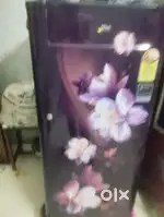 Salim saari reda Kota Rajasthan