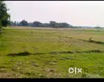 3 ACRE LAND FOR SALE