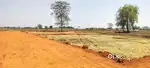 आदिवासी कॉलोनी