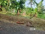 Land/plot for sale at Anchal town