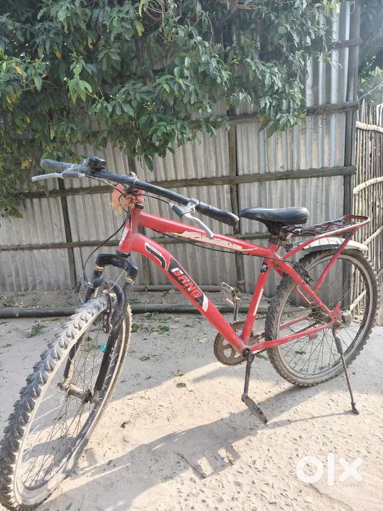 Gang bicycle