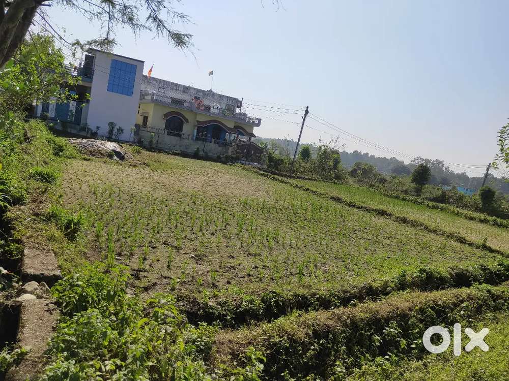 Selling Plot in Dehradun