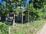Land with Assam type house sale