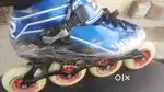 Sketing Shoes