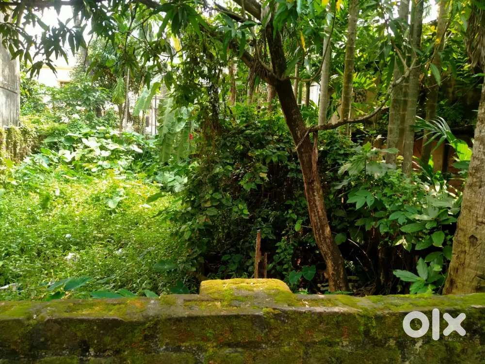 Birati station to 5min walk distance on 8' road near expresway airport