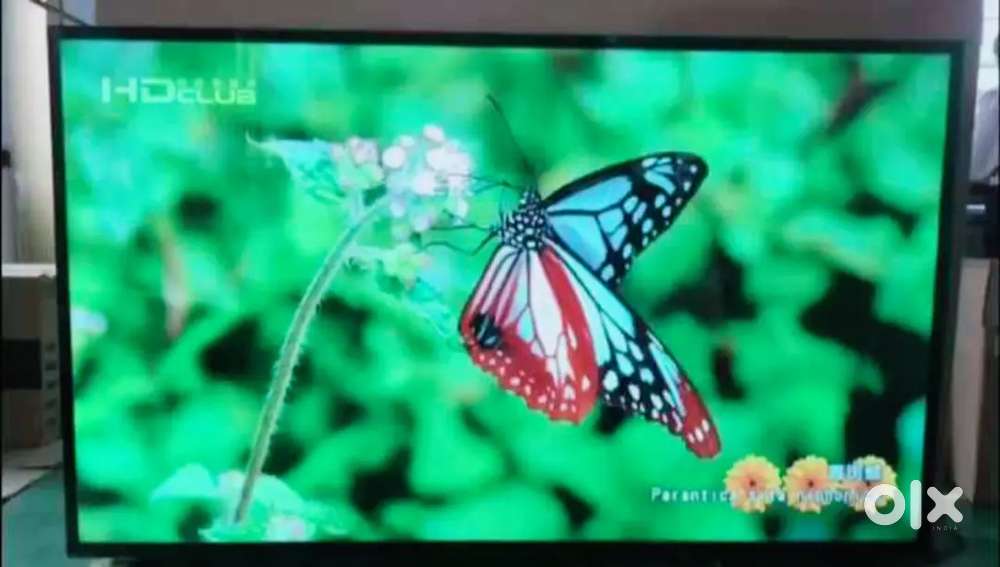 New smart led tv crystal clear display dolby sound 1year warranty