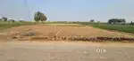 4500 gaj (6 bigha)
