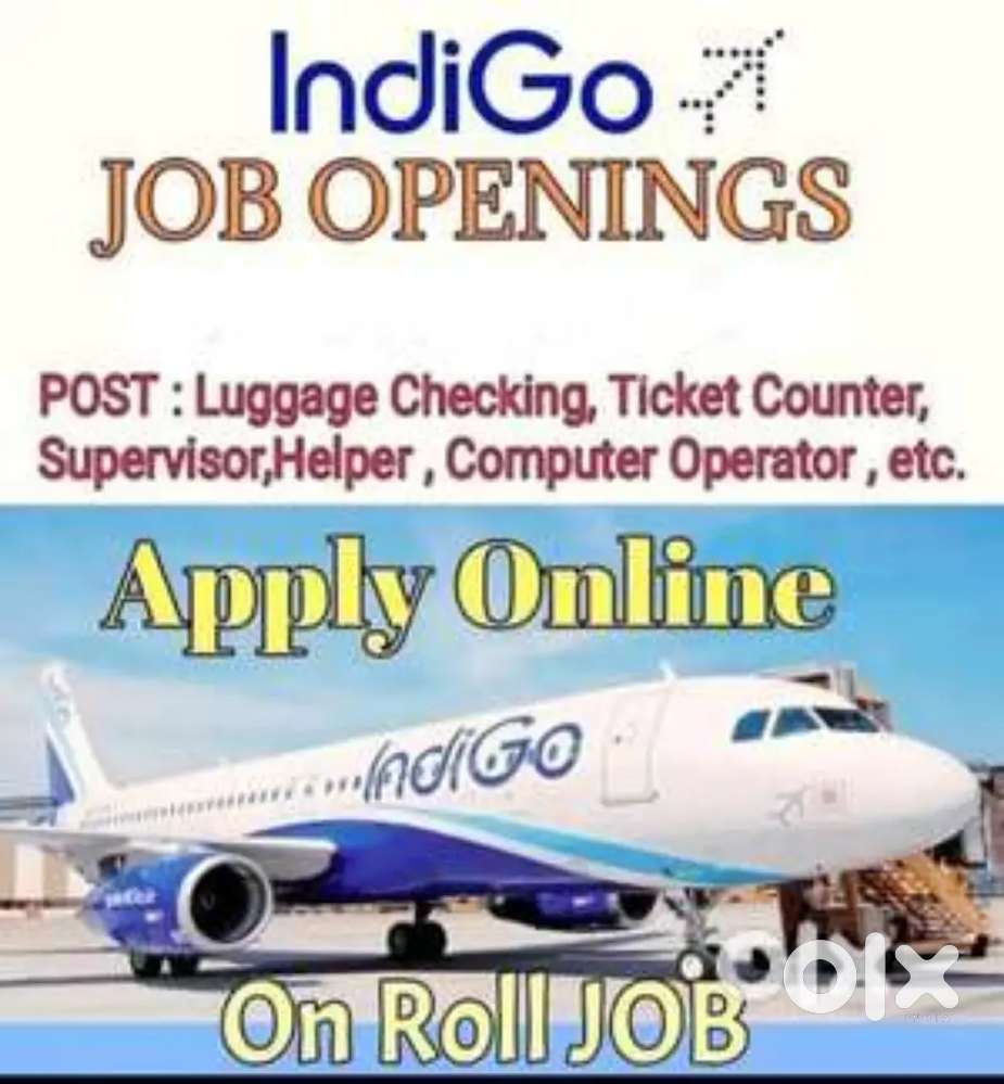 Urgent requirements for ground staff job in fresher candidate